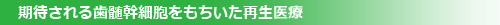 期待される歯髄幹細胞をもちいた再生医療